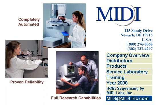 main2.gif (58528 bytes)